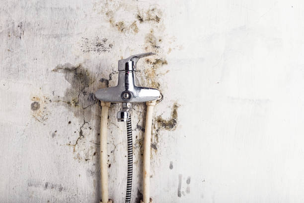 Best Mold Testing  in Coldwater, MI