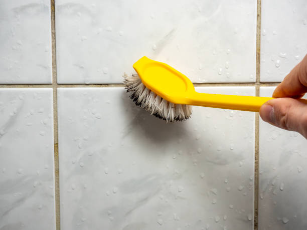 Mold Testing and Removal in Coldwater, MI